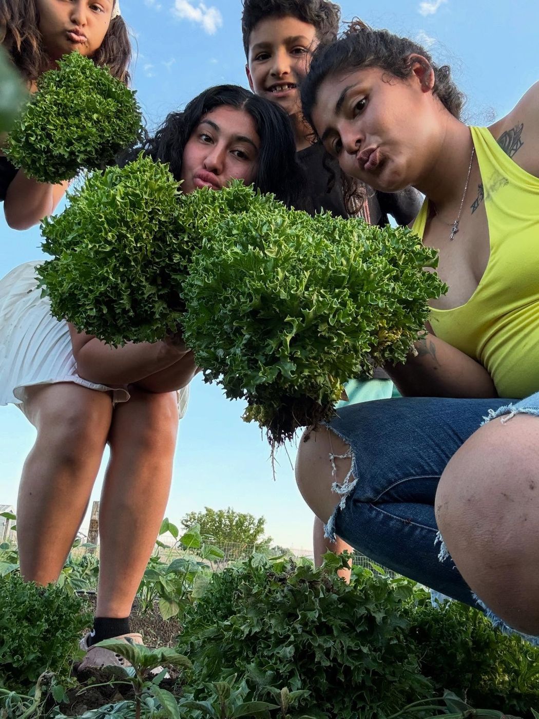 The Fernandez family holding fresh lettuce in the field